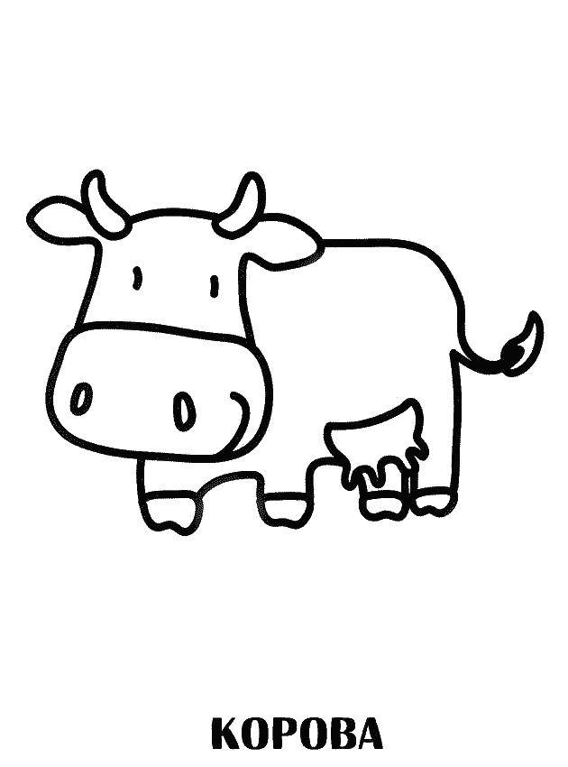 Название: Раскраска Корова. Категория: Раскраски для малышей. Теги: корова.