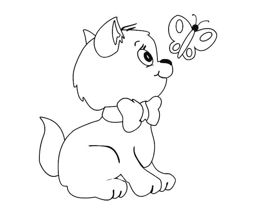 Coloring Kitty catches a butterfly. Category Coloring pages for kids. Tags:  kitty.