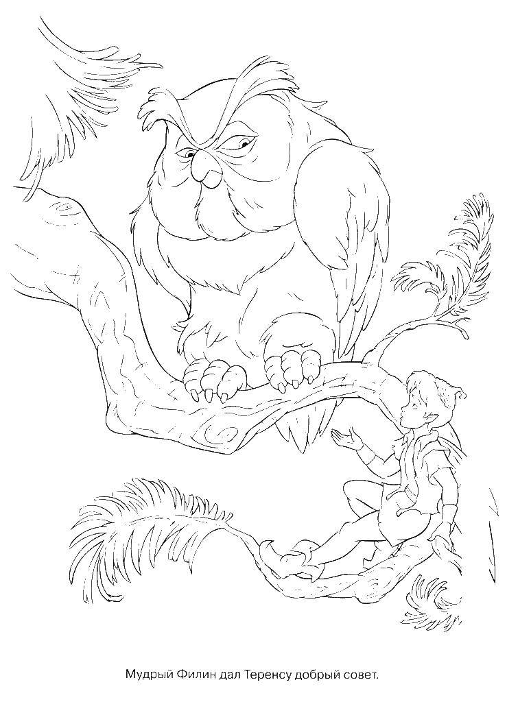 Coloring Owl on the branch. Category fairies. Tags:  The owl, fairy.