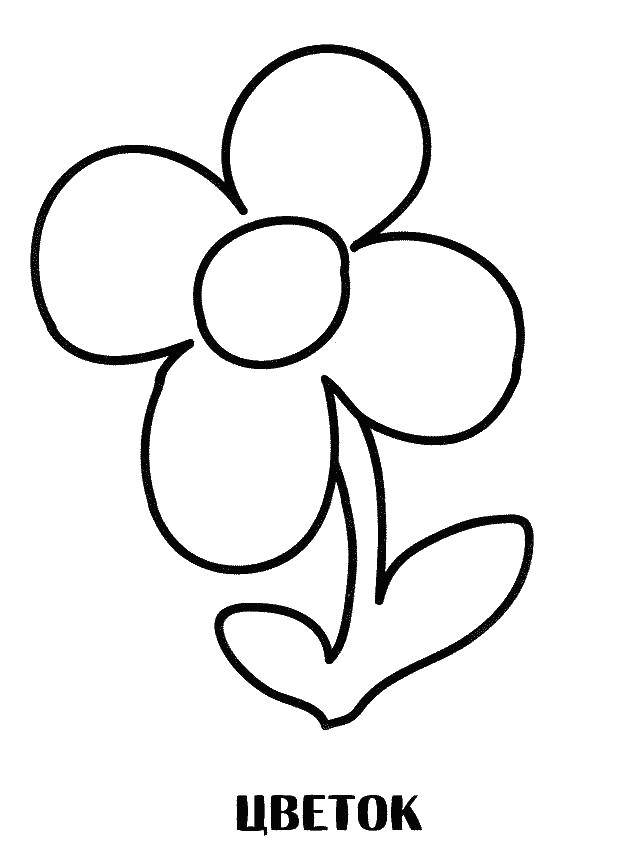 Название: Раскраска Цветок. Категория: Раскраски для малышей. Теги: цветок.