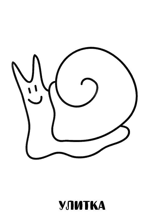 Coloring Snail. Category Coloring pages for kids. Tags:  snail.