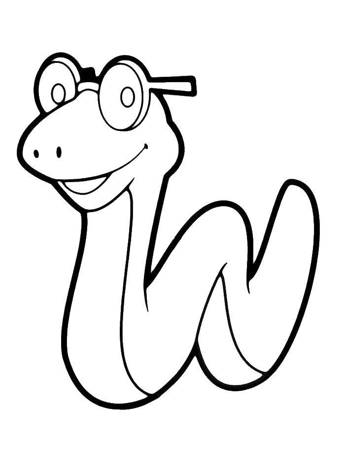 Название: Раскраска Змея в очках. Категория: Раскраски для малышей. Теги: змея.