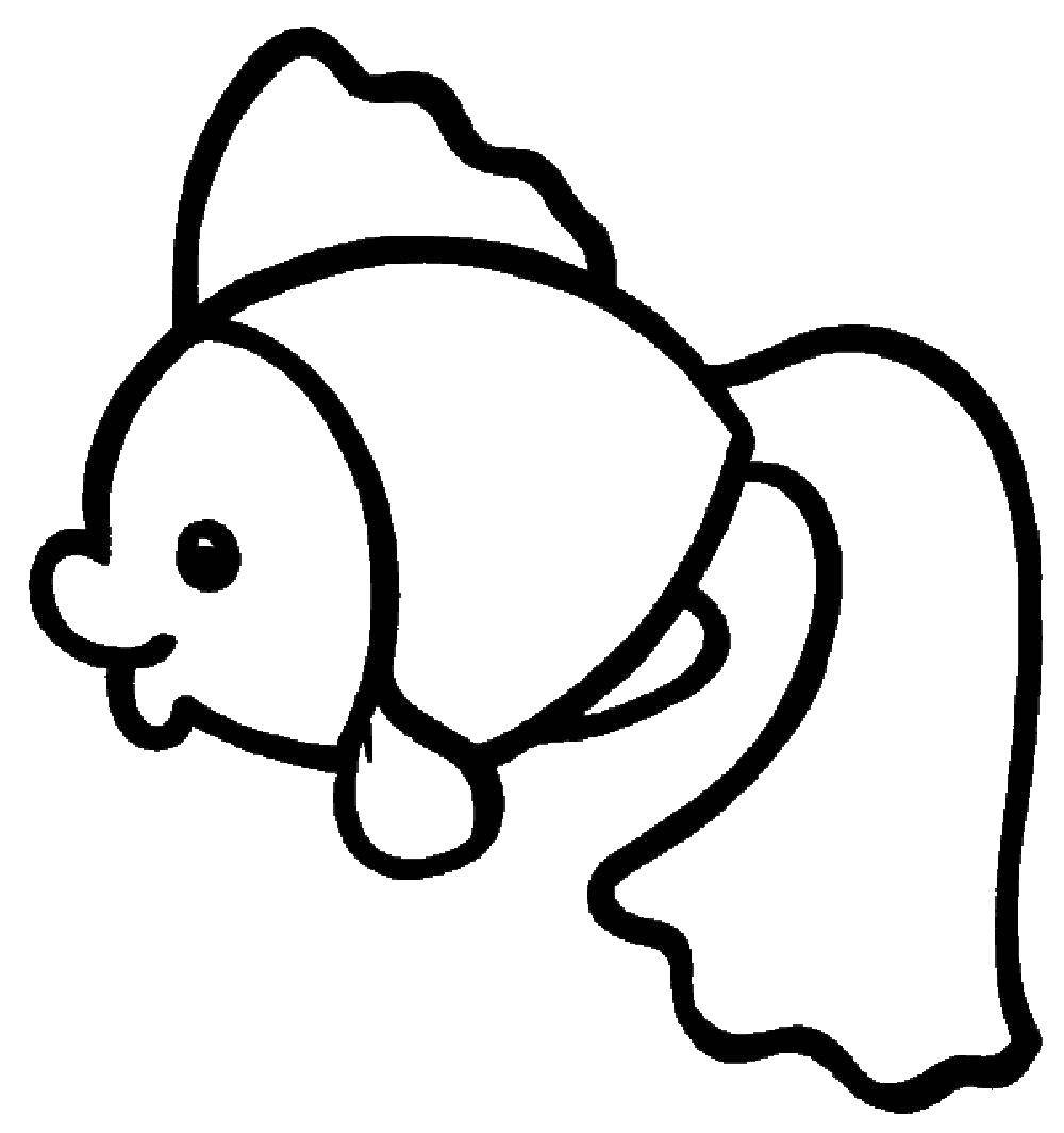 Coloring Goldfish. Category Coloring pages for kids. Tags:  fish.