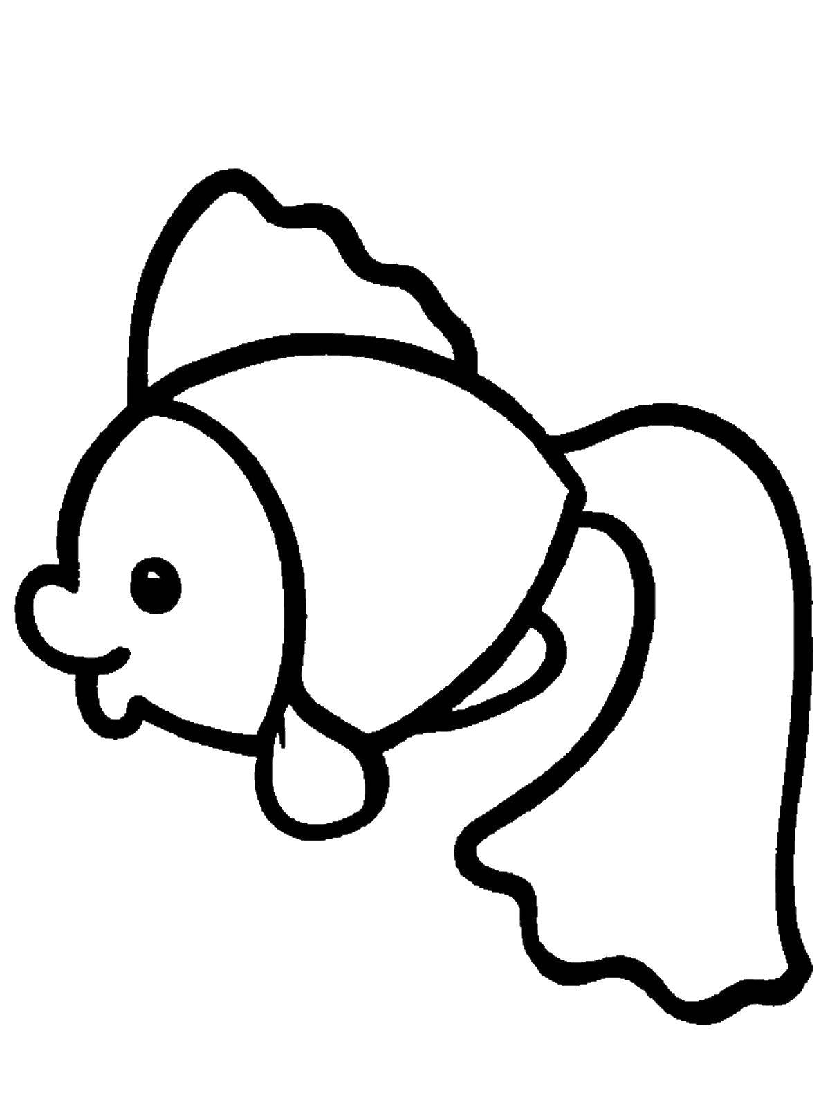Название: Раскраска Золотая рыбка. Категория: Раскраски для малышей. Теги: золотая рыба.