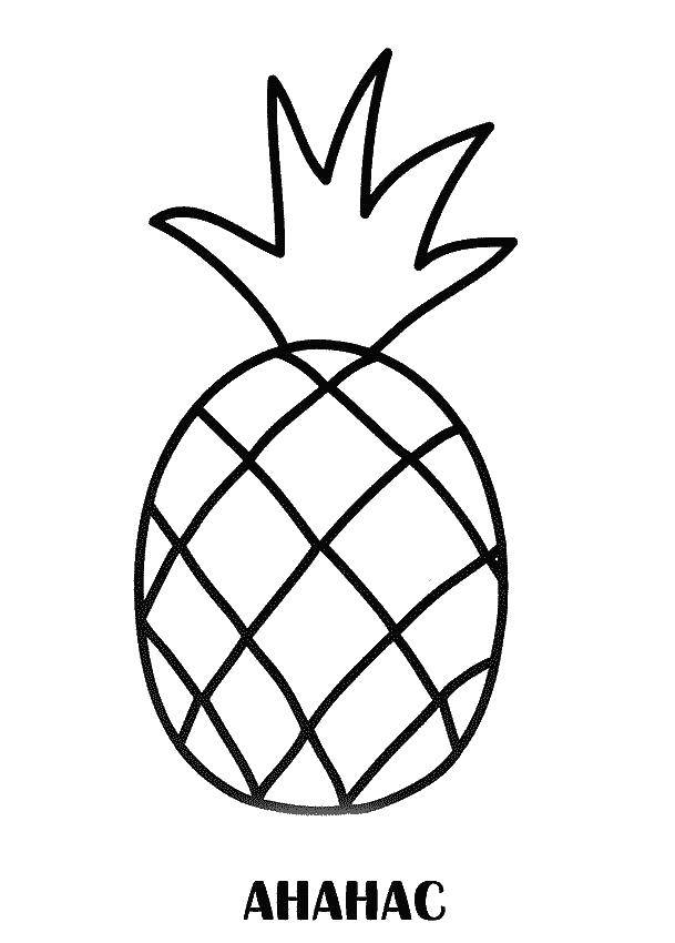 Coloring Pineapple. Category Coloring pages for kids. Tags:  pineapple.