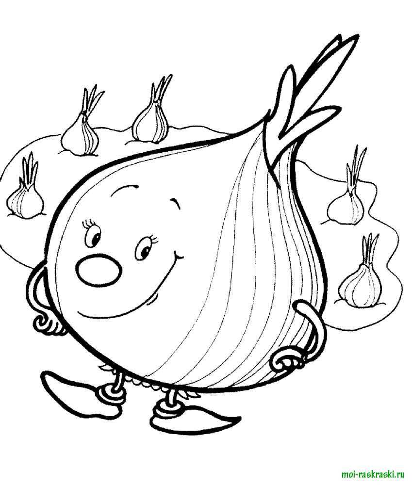 Coloring Large onion. Category vegetables. Tags:  onions.