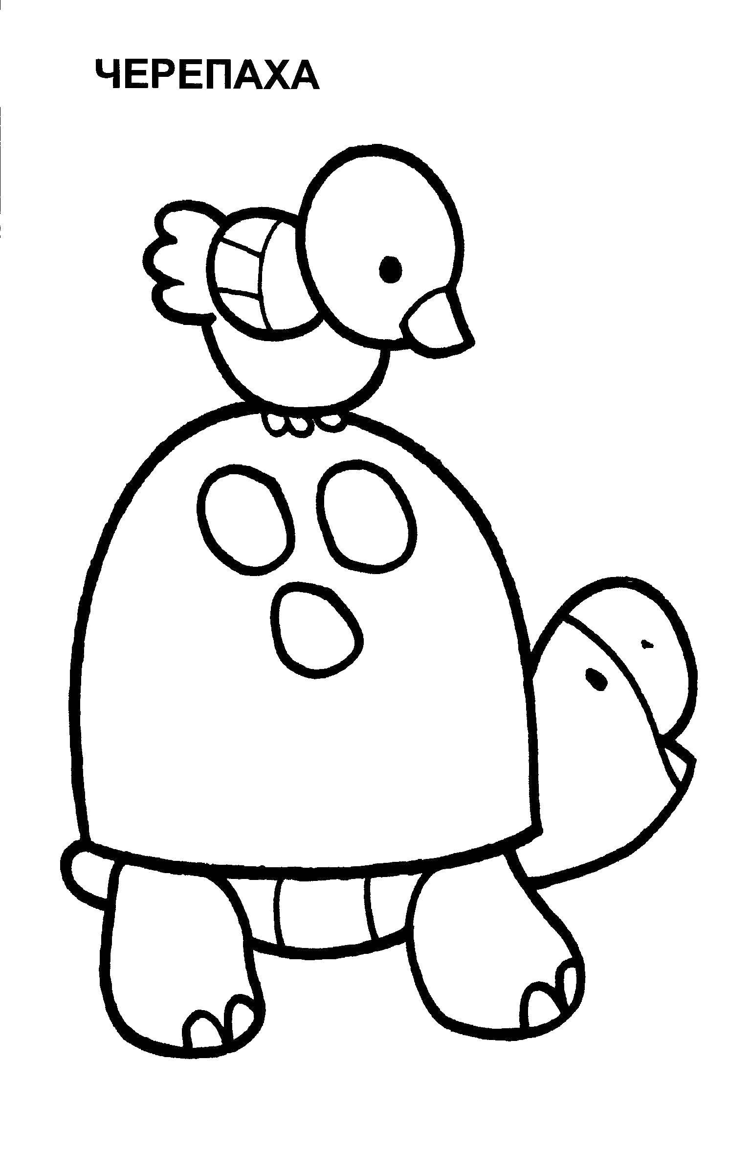 Coloring The tortoise and the bird. Category Coloring pages for kids. Tags:  turtle.