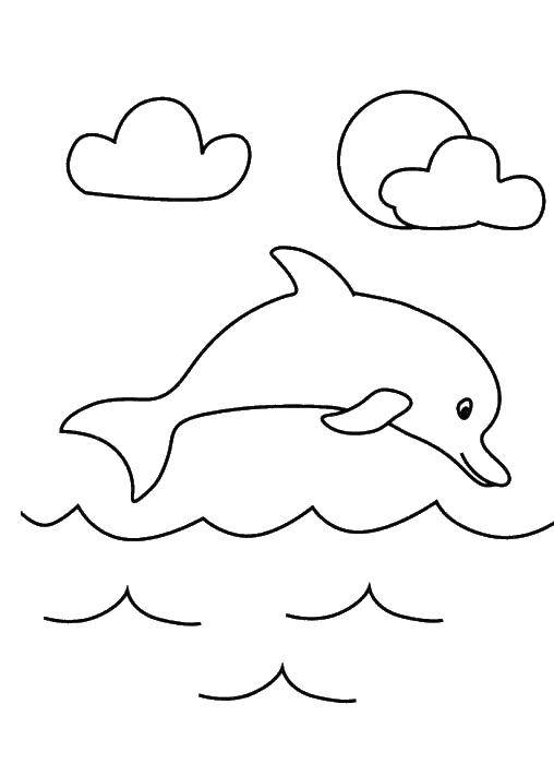 Coloring Dolphin. Category Coloring pages for kids. Tags:  Dolphin.