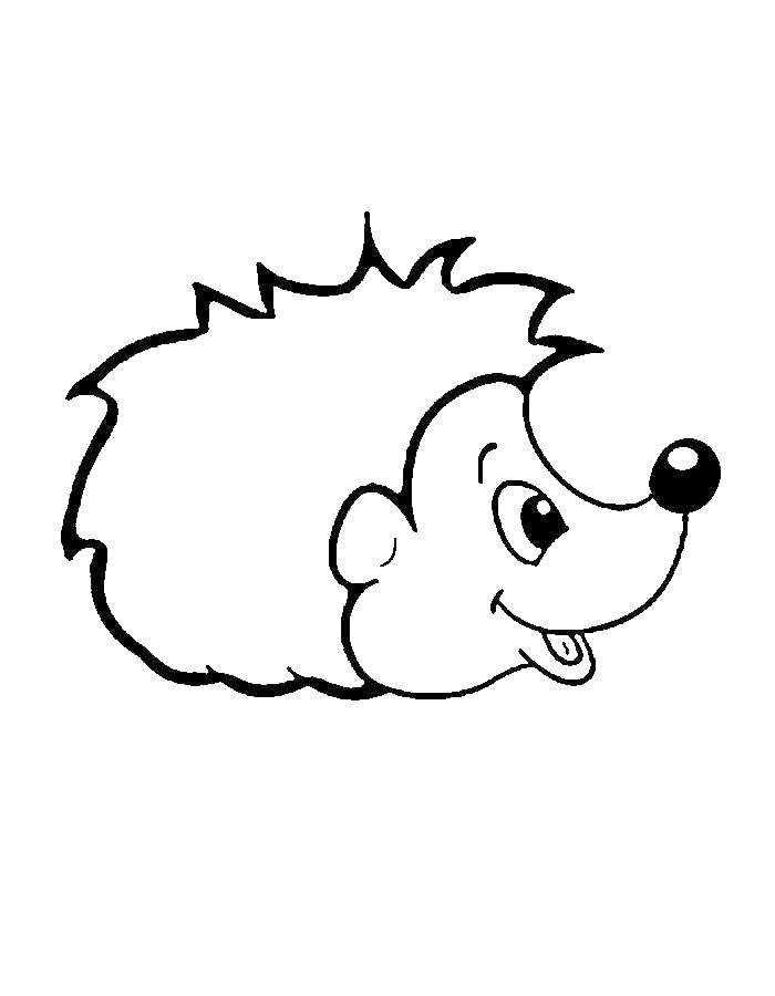 Coloring Hedgehog. Category Coloring pages for kids. Tags:  the hedgehog .