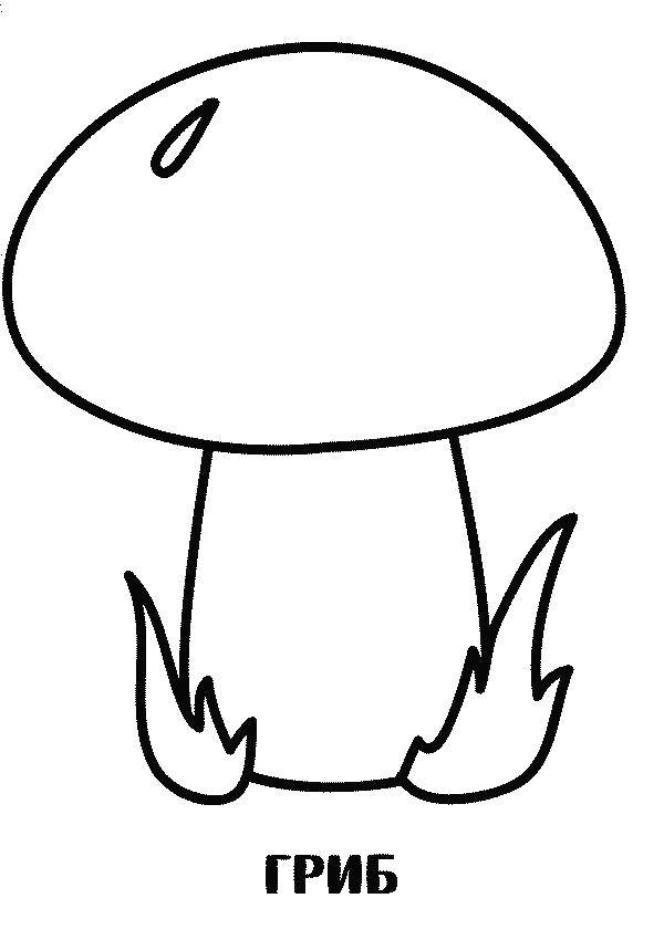 Coloring Mushroom. Category Coloring pages for kids. Tags:  fungus.
