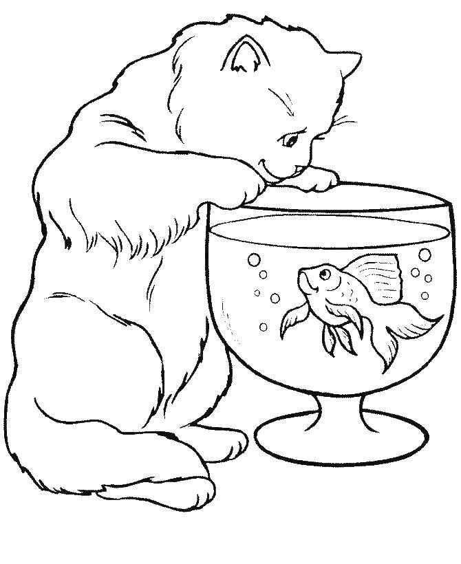 Название: Раскраска Кот ловит рыбку в аквариуме. Категория: Кошка. Теги: кот, рыбка.