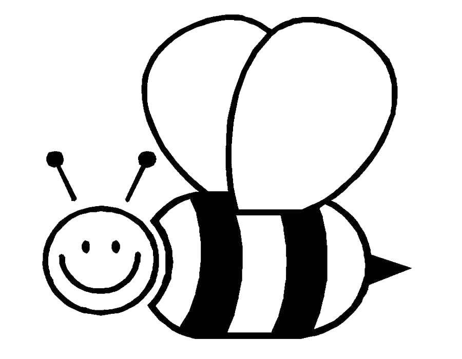 Название: Раскраска Пчела. Категория: Раскраски для малышей. Теги: пчела.
