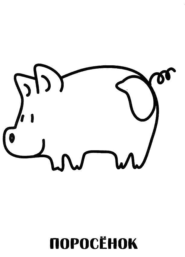 Coloring Pig. Category Coloring pages for kids. Tags:  the pig.