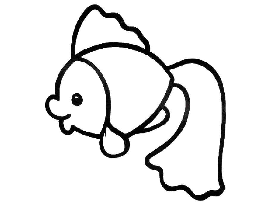 Coloring Fish. Category Coloring pages for kids. Tags:  fish.
