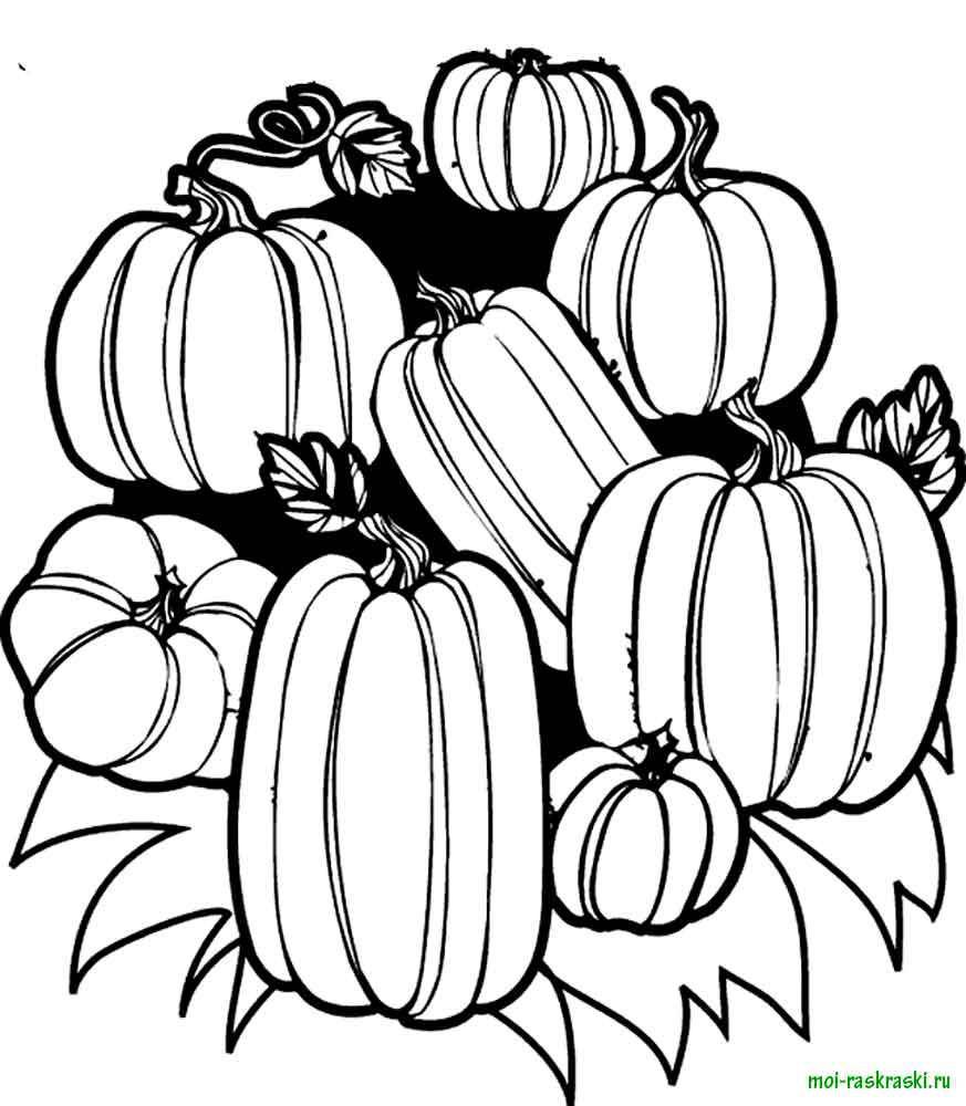 Coloring Pumpkin garden. Category vegetables. Tags:  pumpkin.