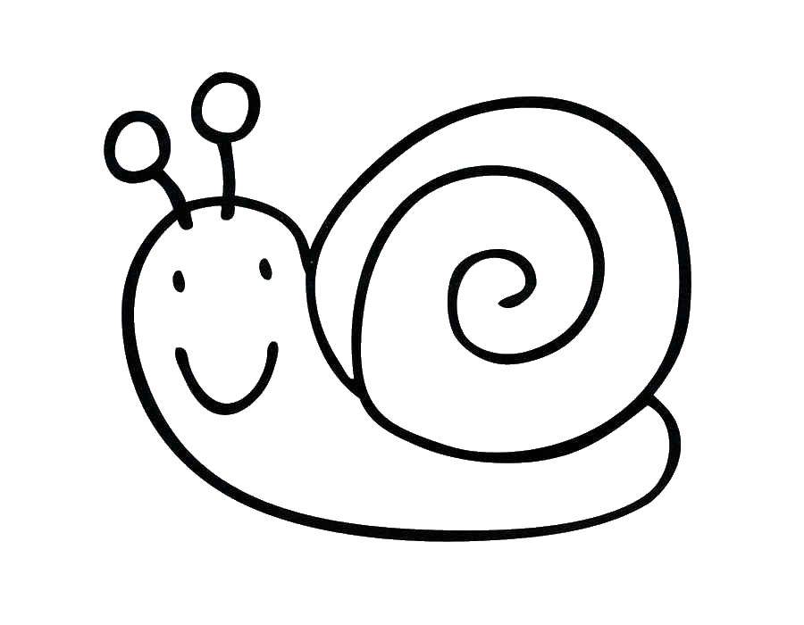 Coloring Snail. Category Coloring pages for kids. Tags:  snail.