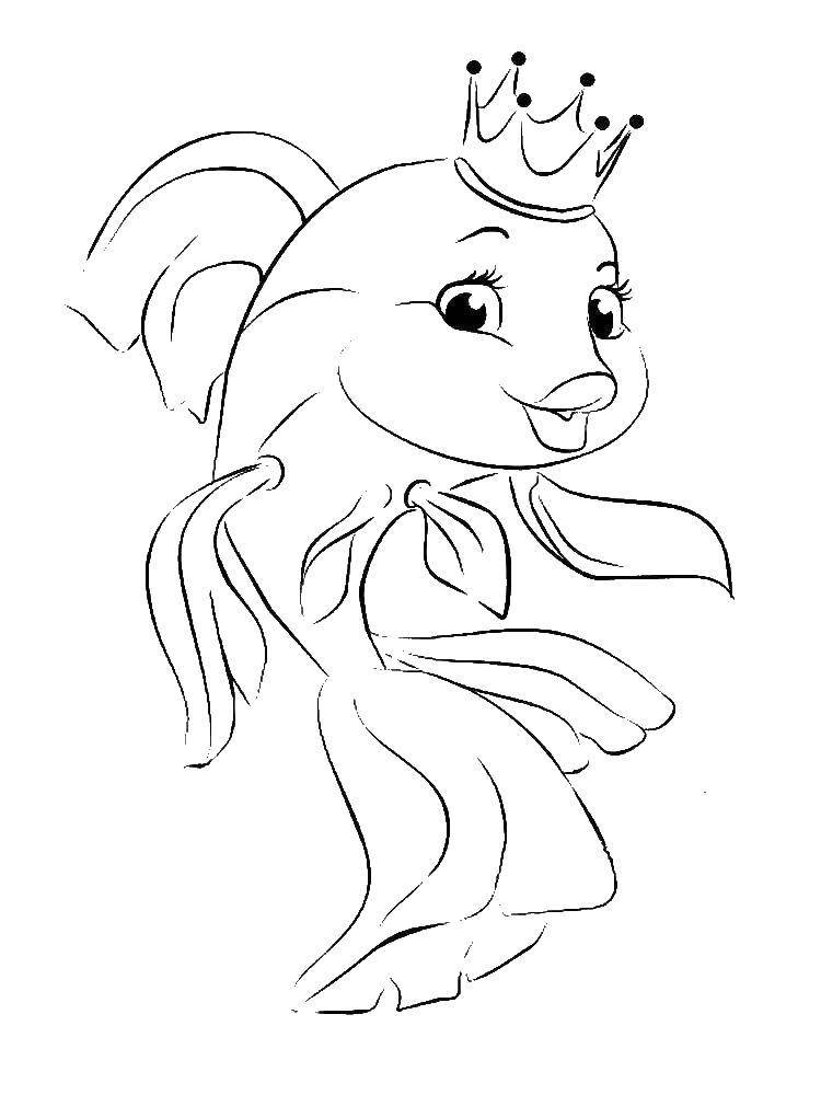 Coloring Goldfish. Category Fairy tales. Tags:  gold fish.
