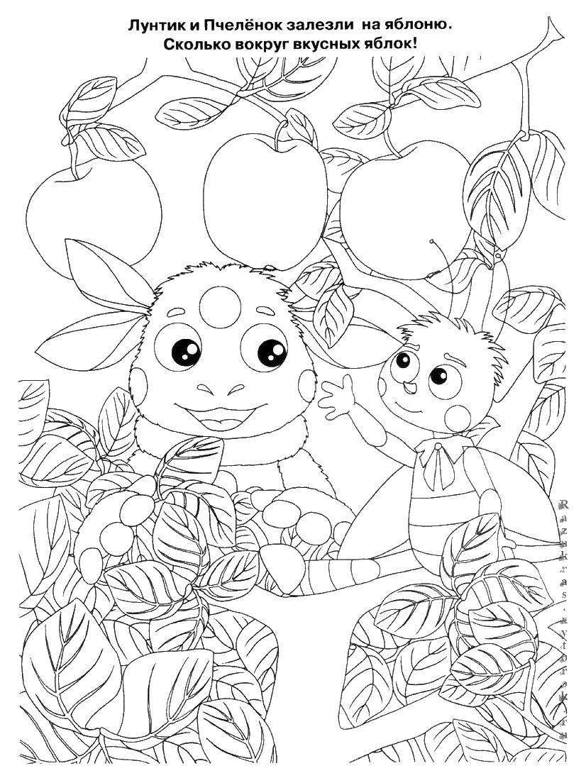 Coloring Luntik bees and collect the apples. Category The game and have fun. Tags:  Lunatic, Pretty, Kuzma.