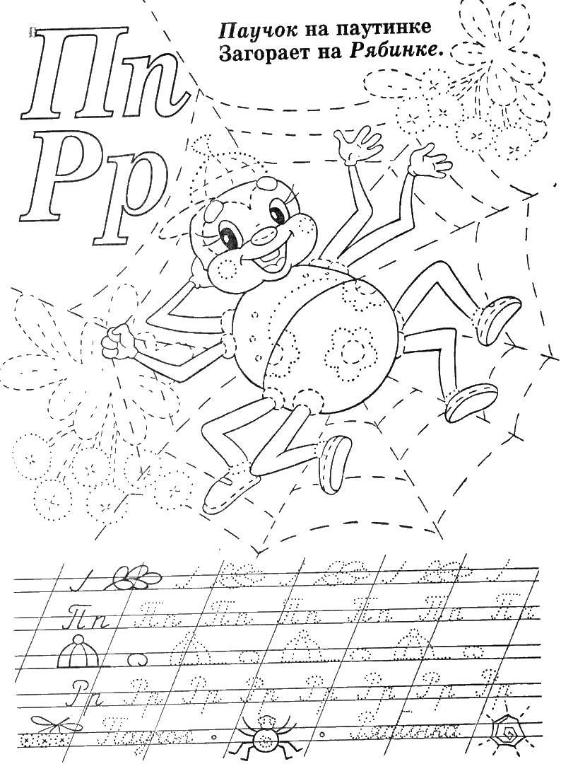 Coloring Spider on the web. Category Tracing. Tags:  recipe.
