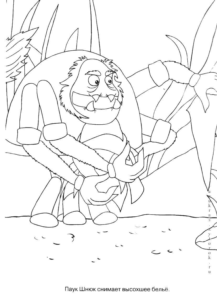 Coloring Spider, snuck. Category The game and have fun. Tags:  Luntik, snuk.