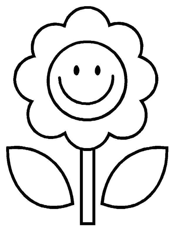 Coloring Fun Daisy. Category Coloring pages for kids. Tags:  Flowers, chamomile.