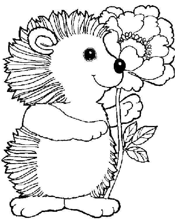 Название: Раскраска Ёжик дарит цветочек. Категория: Раскраски для малышей. Теги: животные, ёж.