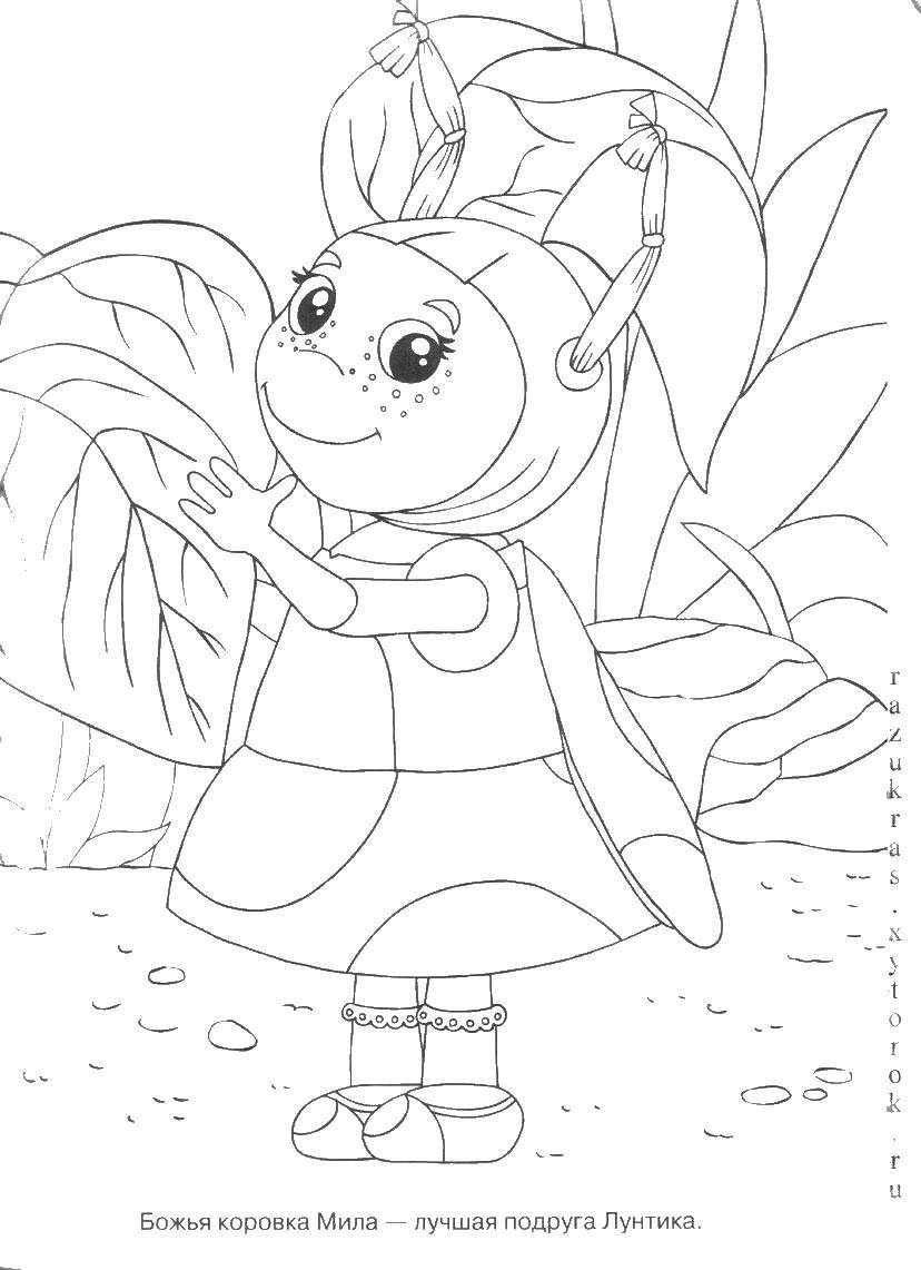 Coloring Ladybug Mila. Category The game and have fun. Tags:  Ladybug, Cute.