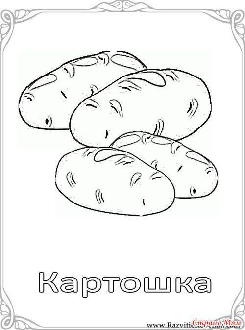 Название: Раскраска Картофель. Категория: овощи. Теги: картошка.