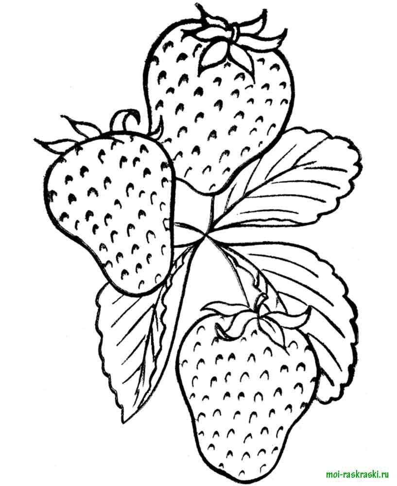 Название: Раскраска Клубника. Категория: ягоды. Теги: клубника.