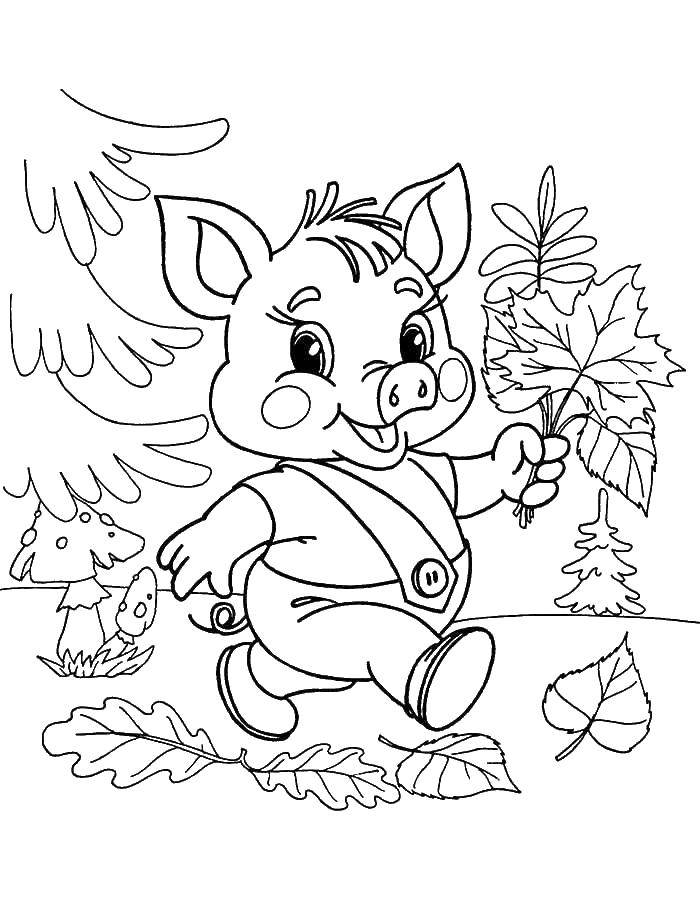 Coloring The pig collects leaves. Category Fairy tales. Tags:  pig, wolf.