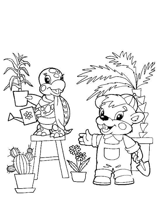 Coloring Bear and turtle care for flowers. Category plants. Tags:  flowers, turtle, bear.