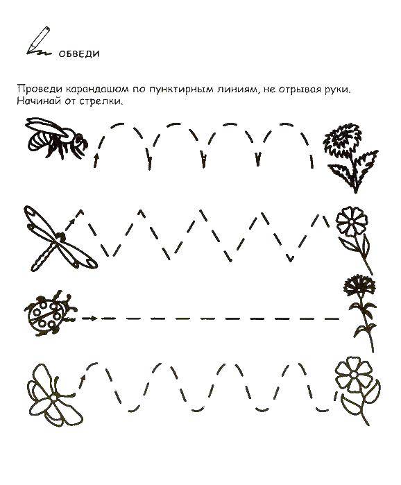 Coloring Insects and flowers. Category plants. Tags:  flowers, insects.