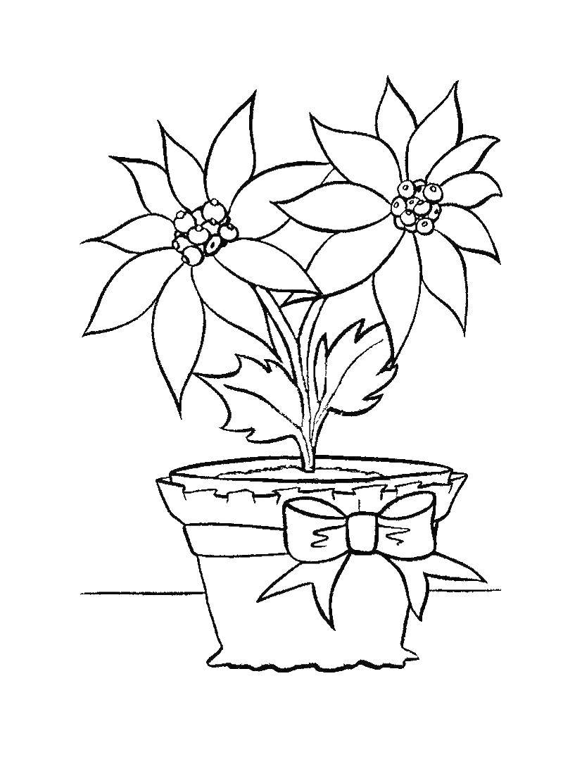 Coloring Flowers in pot. Category plants. Tags:  flowers.