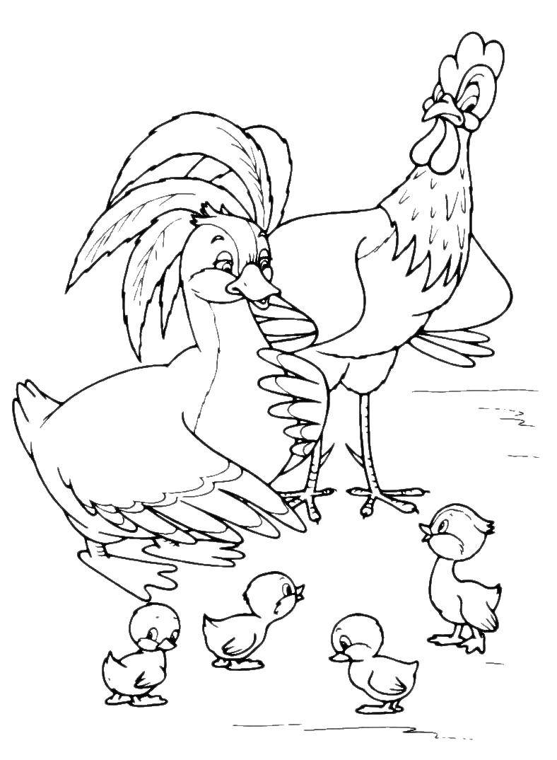 Coloring The ugly duckling. Category Fairy tales. Tags:  the ugly duckling.