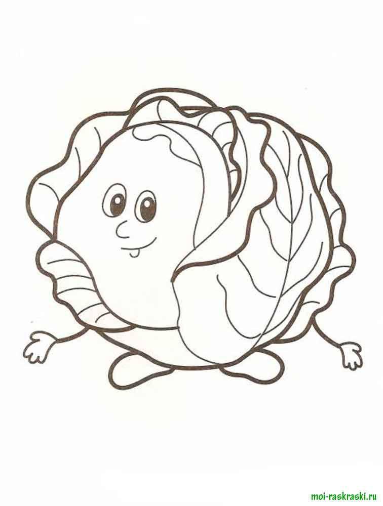 Coloring Kachan cabbage. Category vegetables. Tags:  cabbage.