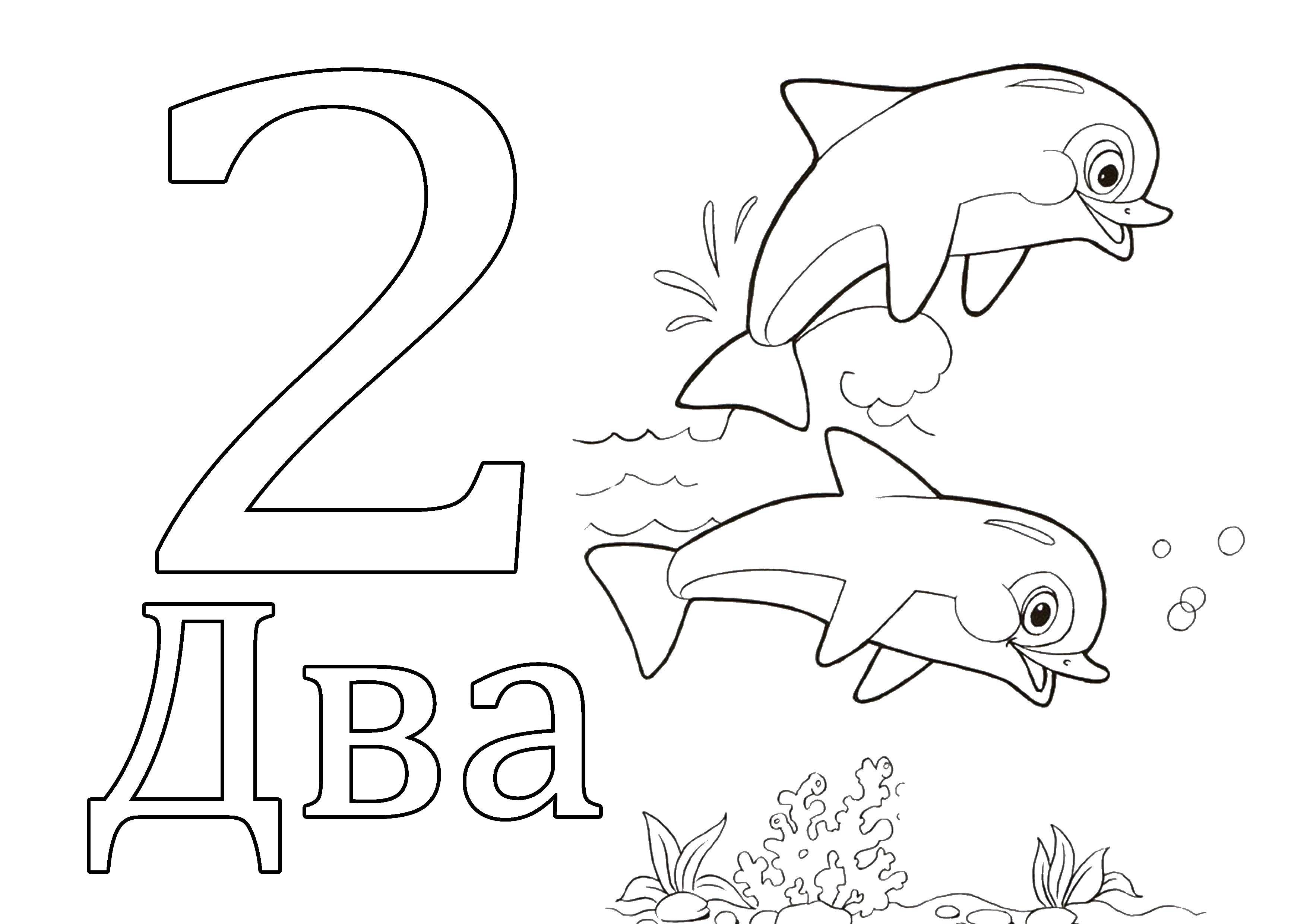 Coloring Two dolphins. Category mathematical coloring pages. Tags:  dolphins figures.