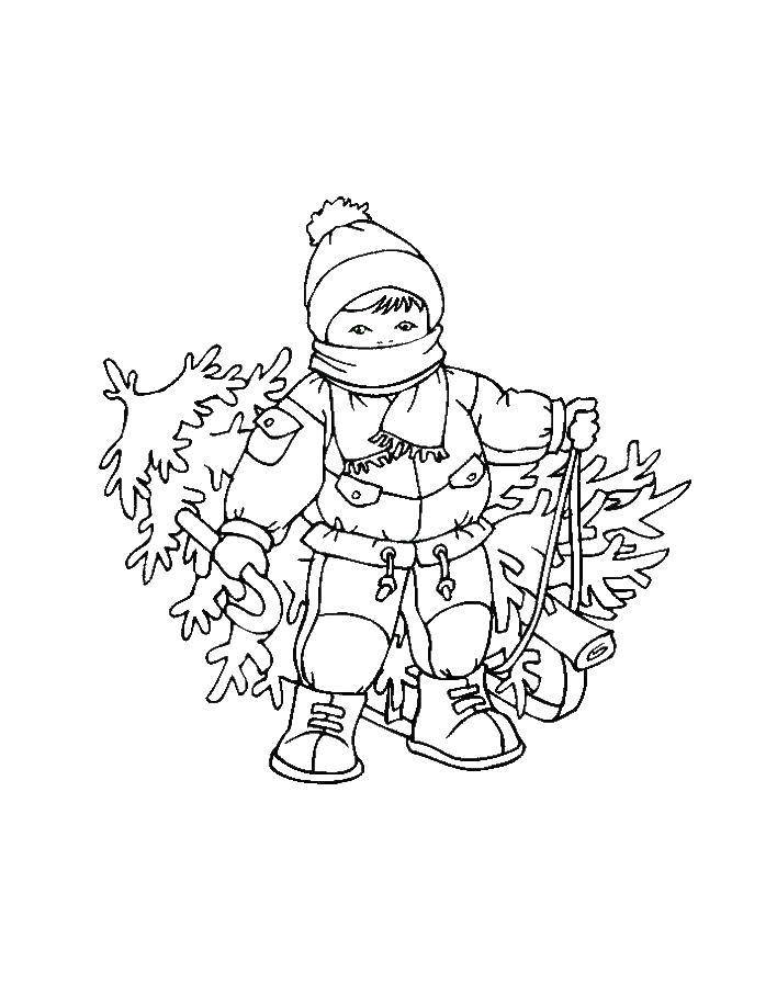 Coloring A boy carries a Christmas tree. Category children. Tags:  Boy, tree, snow, winter.