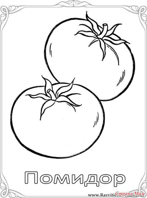 Coloring Tomato. Category vegetables. Tags:  tomato.