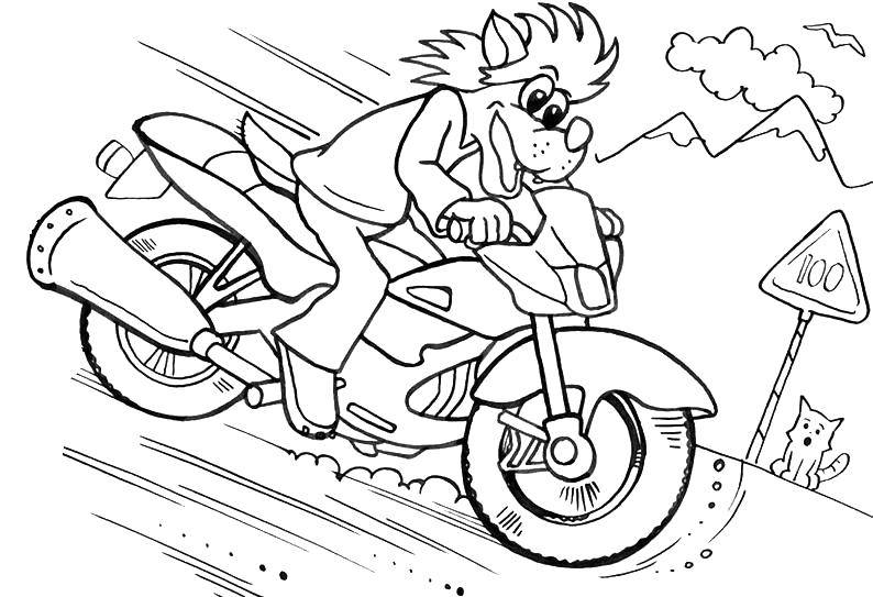 Название: Раскраска Волк и заяц из ну, погоди! несется на мотоцикле. Категория: Советские раскраски. Теги: Персонаж из мультфильма, Волк, "Ну, Погоди!".