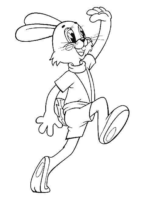 Coloring Hare from nu, pogodi!. Category Soviet coloring. Tags:  A character from the cartoon "Well, Pogodi!", hare.