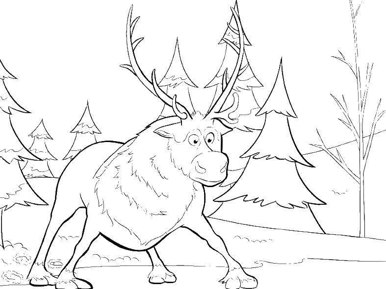 Coloring Moose from the disney cartoon. Category Disney coloring pages. Tags:  Disney, elk.