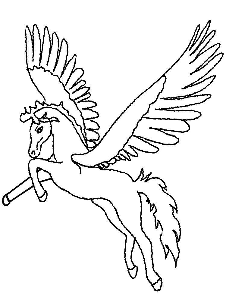 Coloring Pegasus. Category The magic of creation. Tags:  Pegasus.