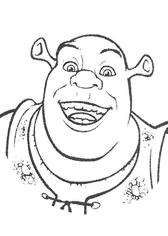 Coloring Shrek. Category cartoons. Tags:  Shrek..
