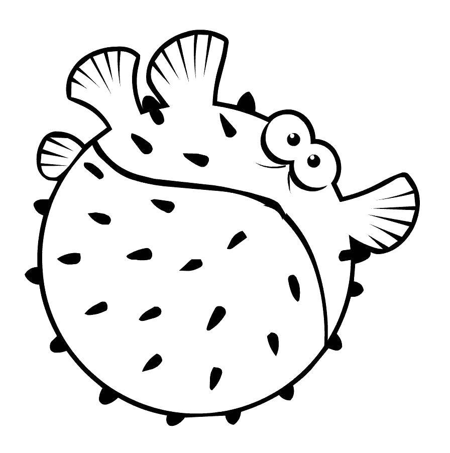 Название: Раскраска Смешной морской ёж. Категория: малышам. Теги: Подводный мир, морской ёж.