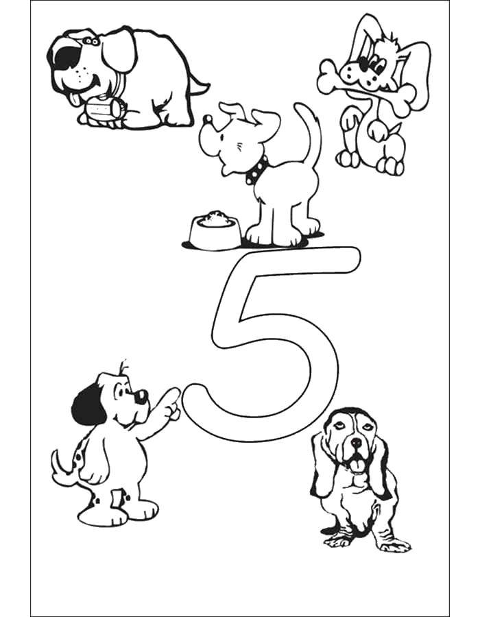 Coloring Learn to count with animals. Category Numbers. Tags:  Numbers, counting.