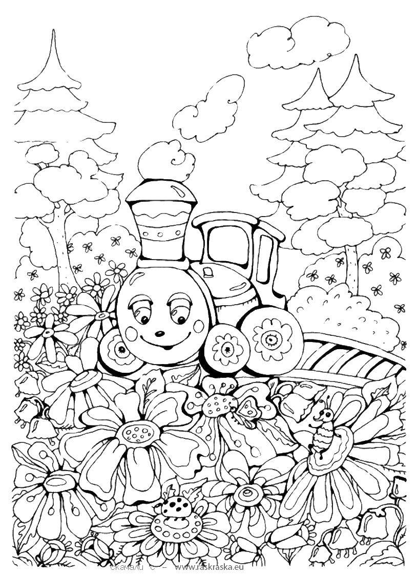 Coloring Train in the meadow. Category cartoons. Tags:  Train.