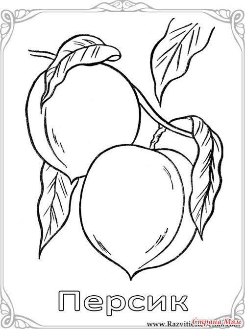 Coloring Peach. Category fruits. Tags:  peach.