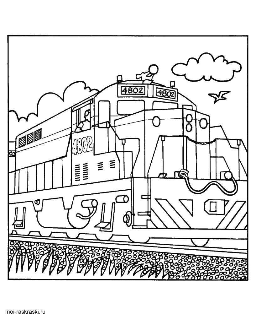 Coloring Train with wagons. Category train. Tags:  train.