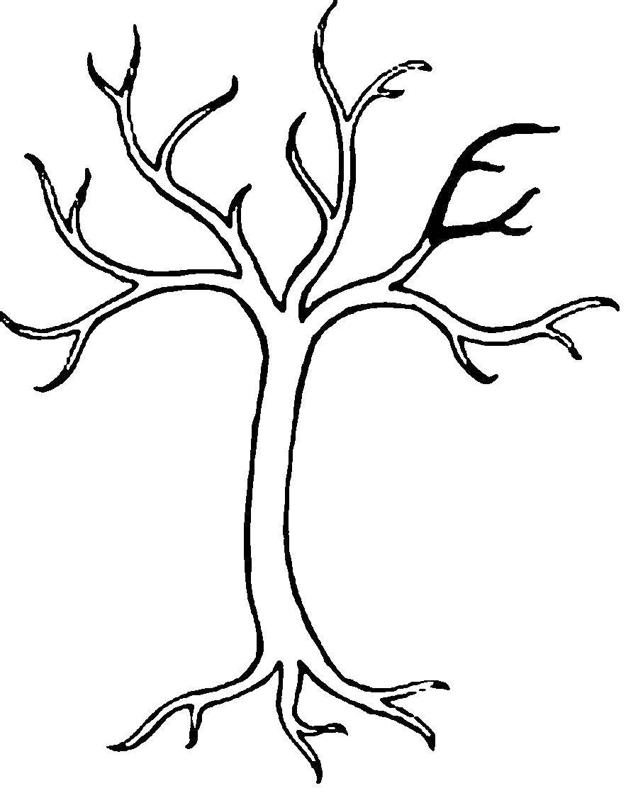 Название: Раскраска Дерево без листьев. Категория: дерево. Теги: дерево.