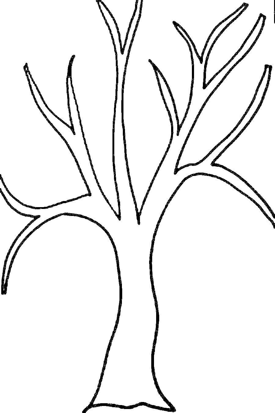 Coloring Tree without leaves. Category tree. Tags:  tree.